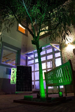 Hof Baum grün kl