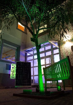 Hof Baum grn kl